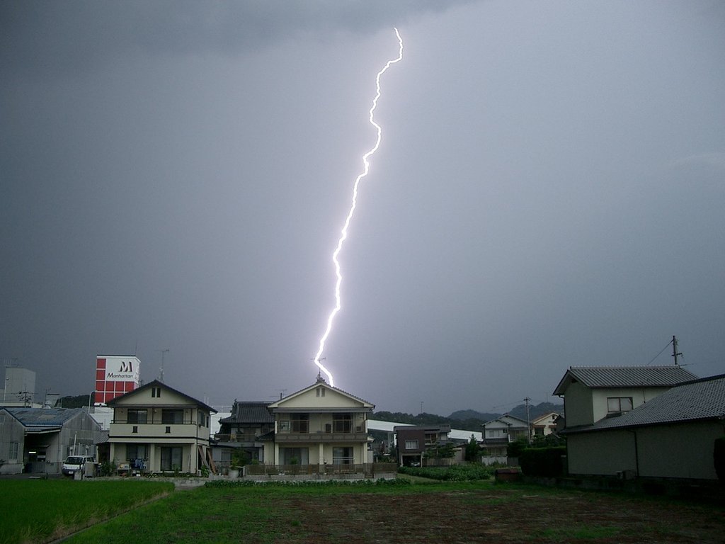 【夏の凉】中間報告