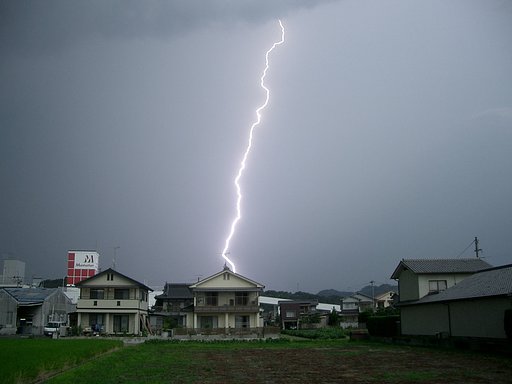 【夏の凉】中間報告