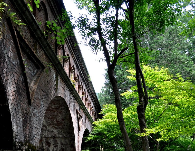 【夏の涼】涼しげな風景