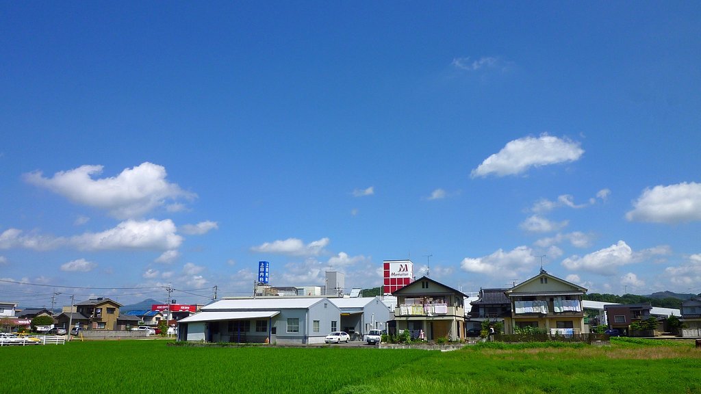 のんびり