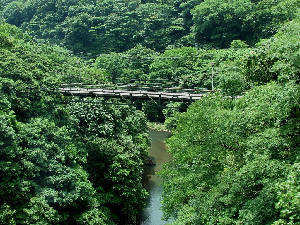 箱根の景色