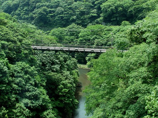 箱根の景色