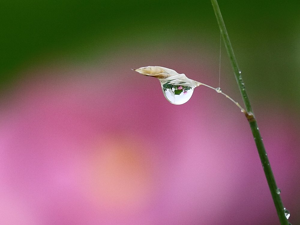 水滴