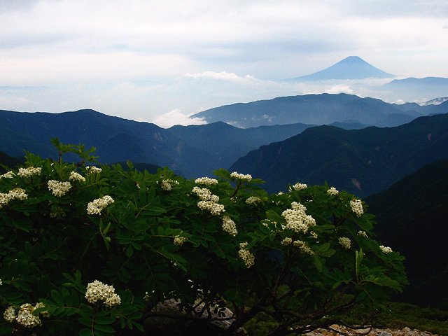 白峰（根）三山縦走