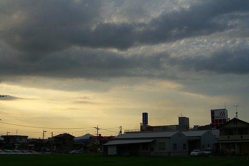 4号去る