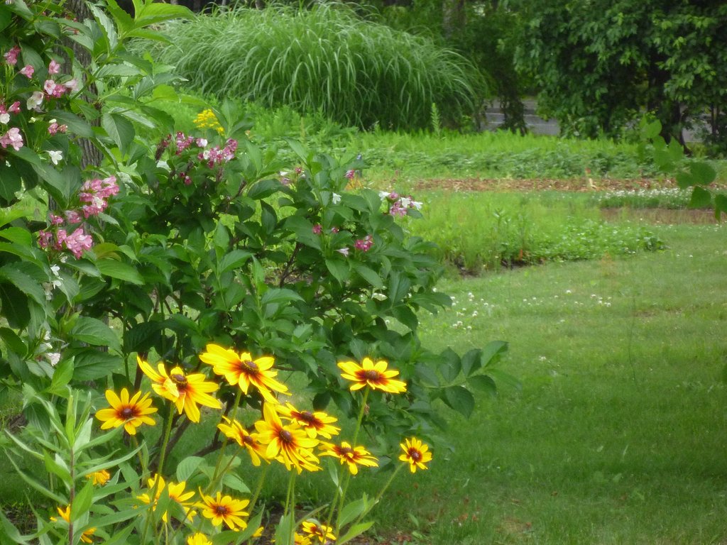 公園内