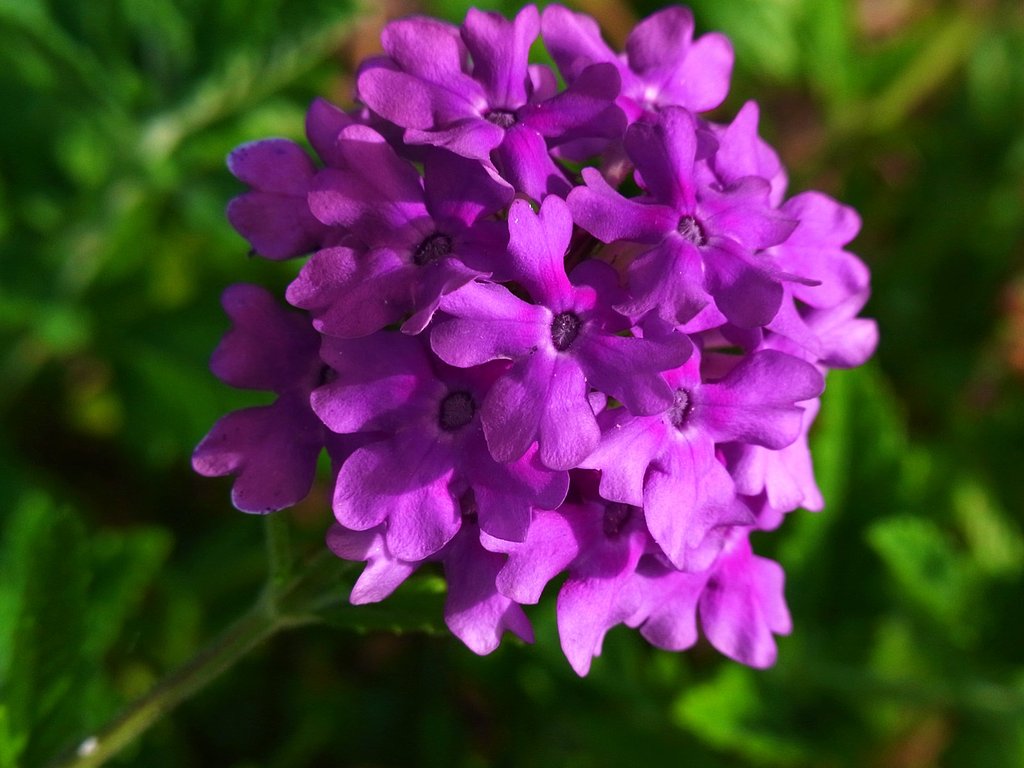 難しい色
