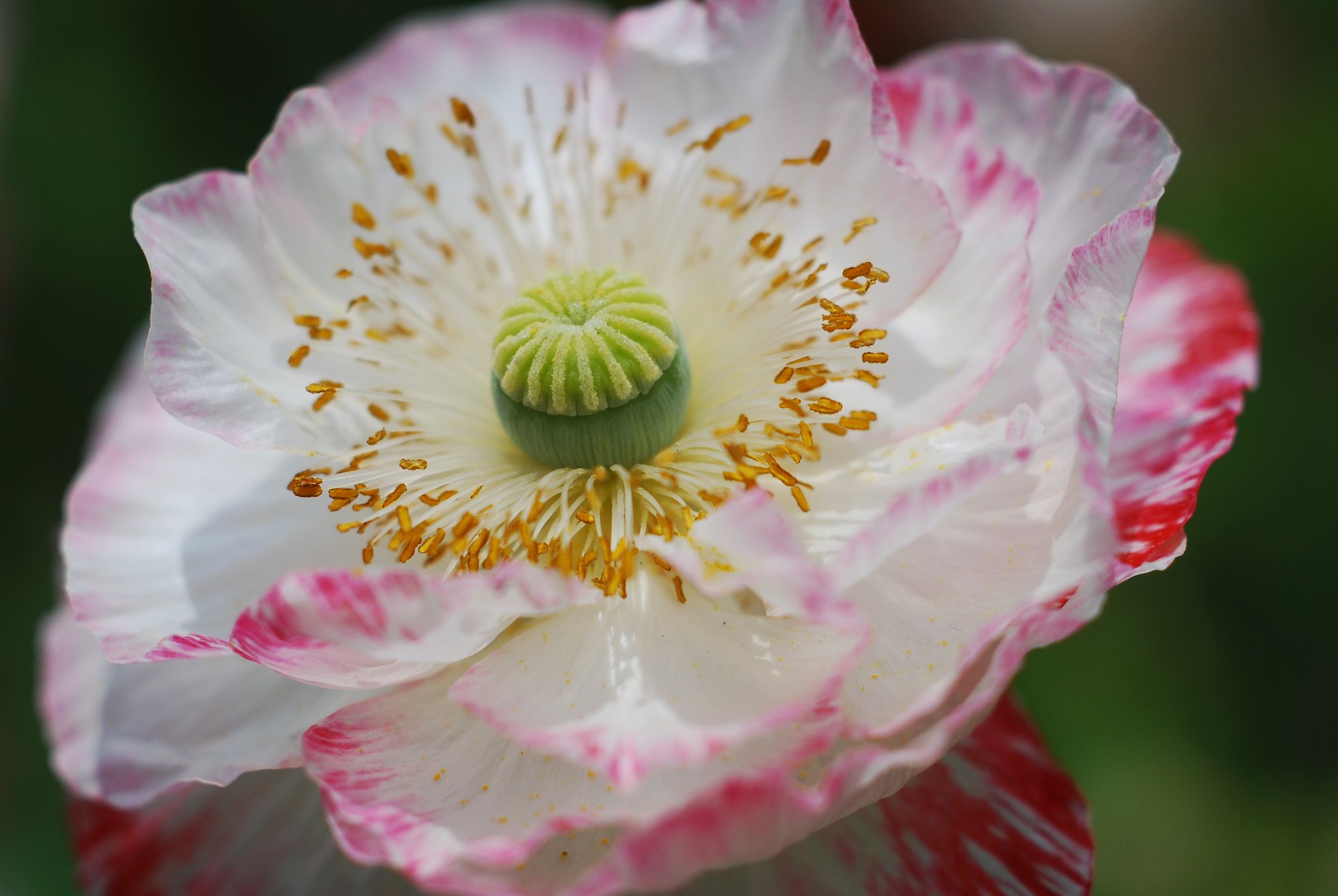 蘆花公園にて