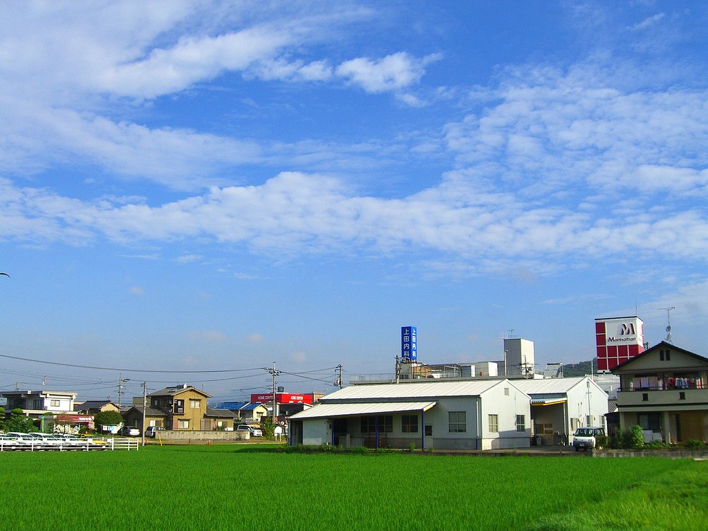 今朝の空