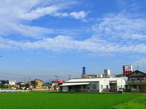 今朝の空