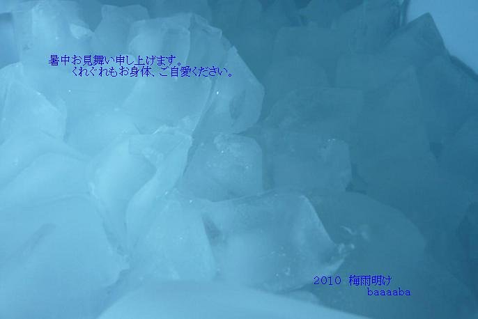 暑中お見舞い申し上げます。