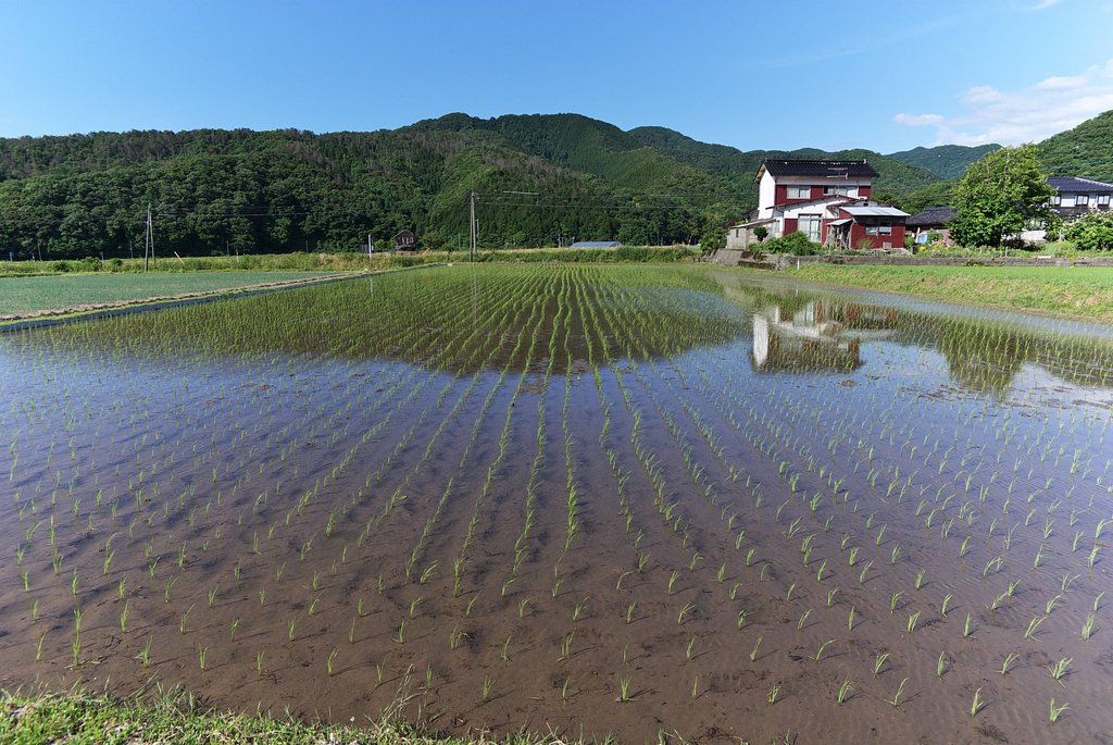 梅雨の晴れ間