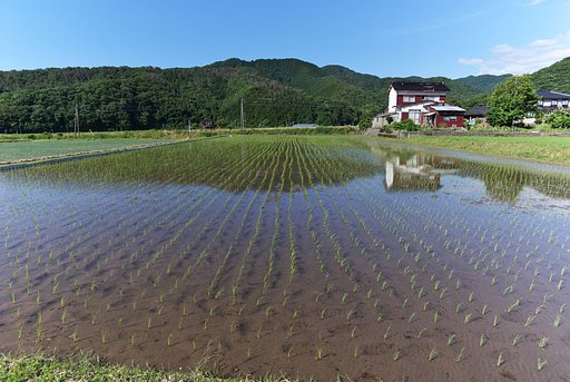 梅雨の晴れ間