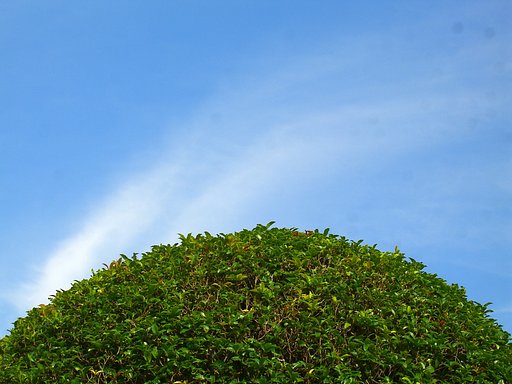 梅雨晴れ間