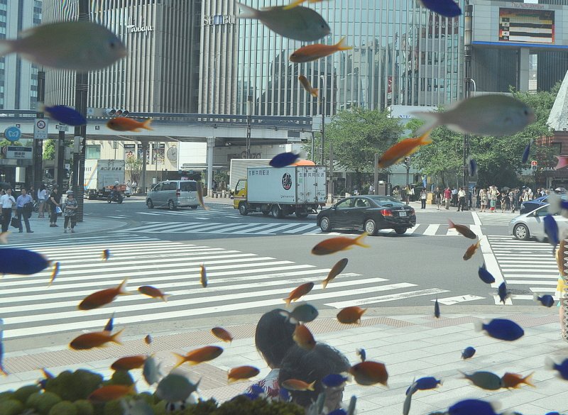 【夏の涼】銀座の風景