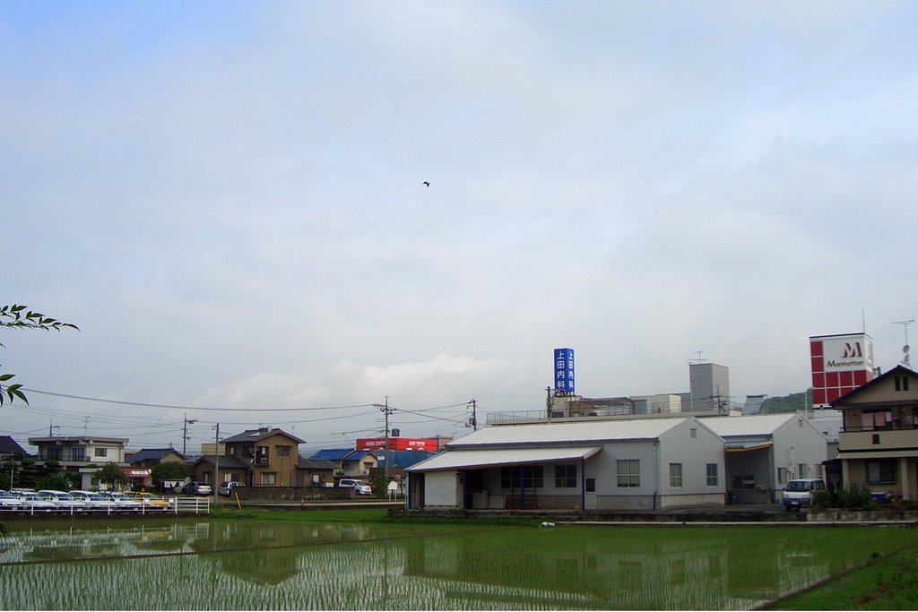 雨上がり