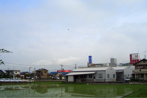 雨上がり