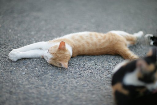 あぢぃ〜