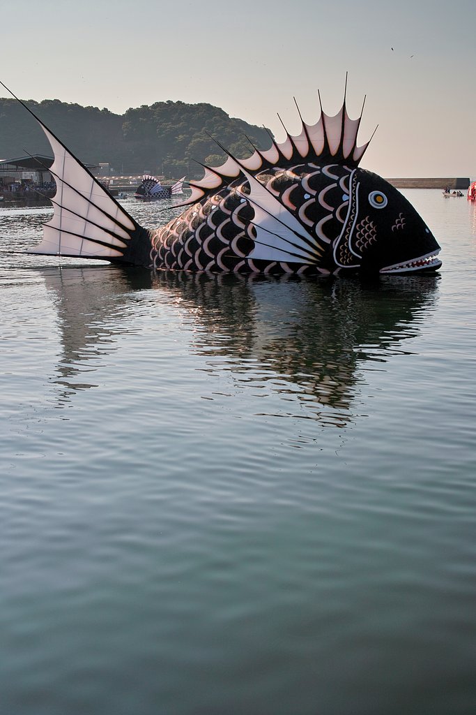 黒鯛