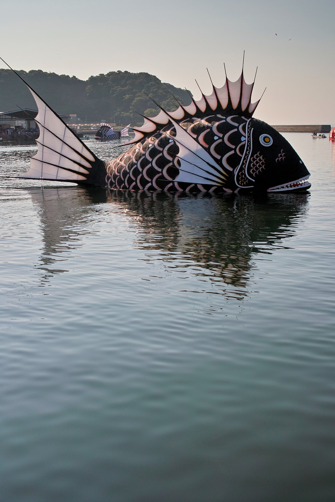 黒鯛