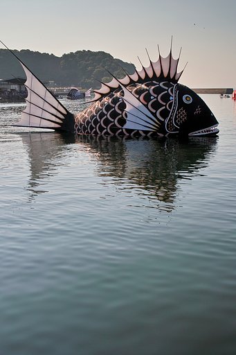 黒鯛