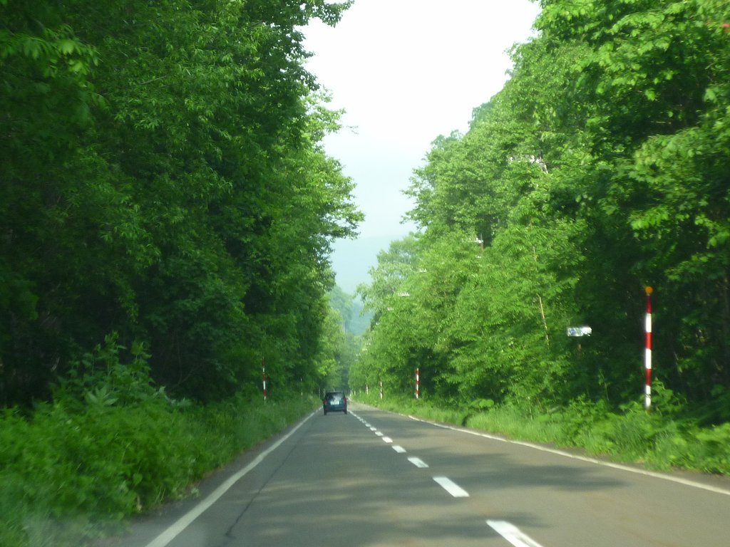 道路