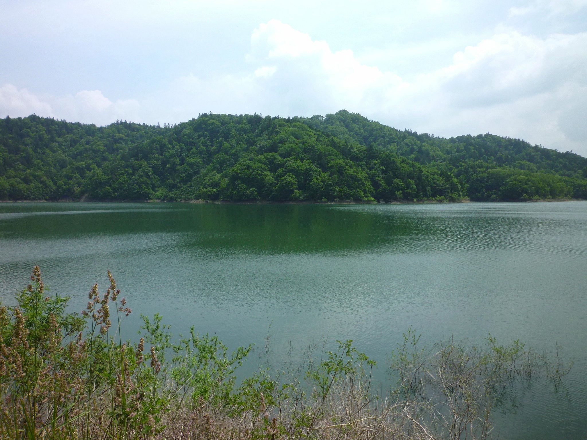湖♪