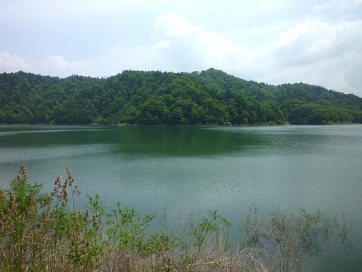 湖♪