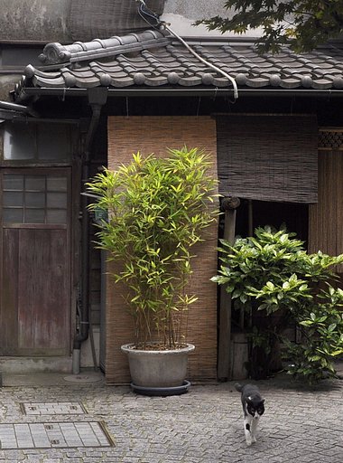 神楽坂の街風景