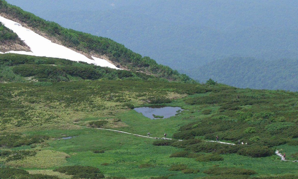 山上の沼