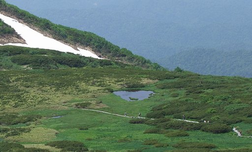 山上の沼
