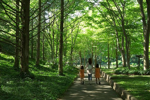 【夏の涼】木陰・・・