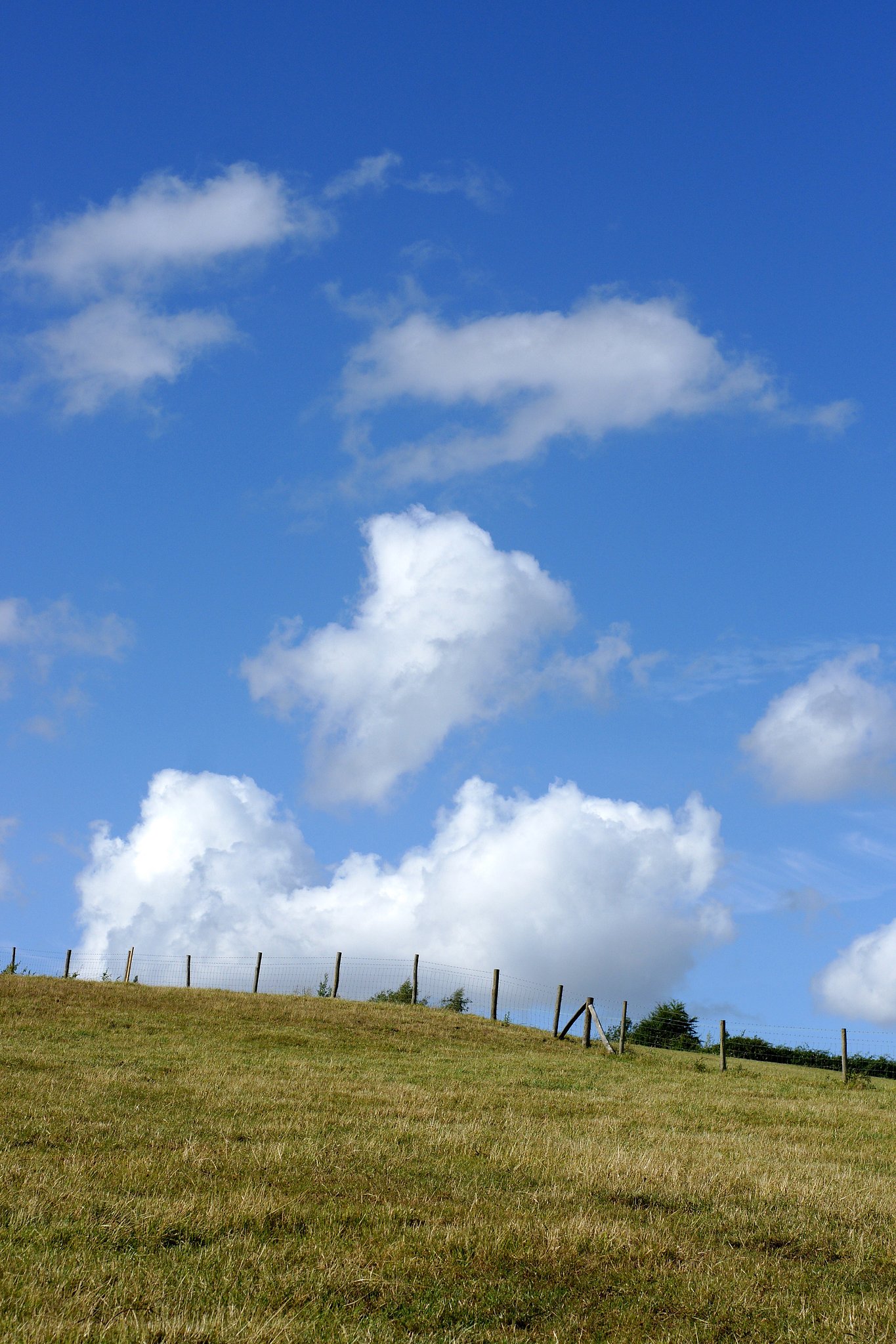 坂の上の雲