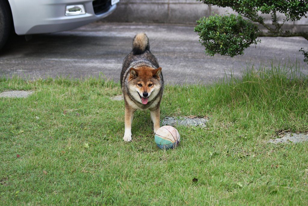 フリーキックだよ〜