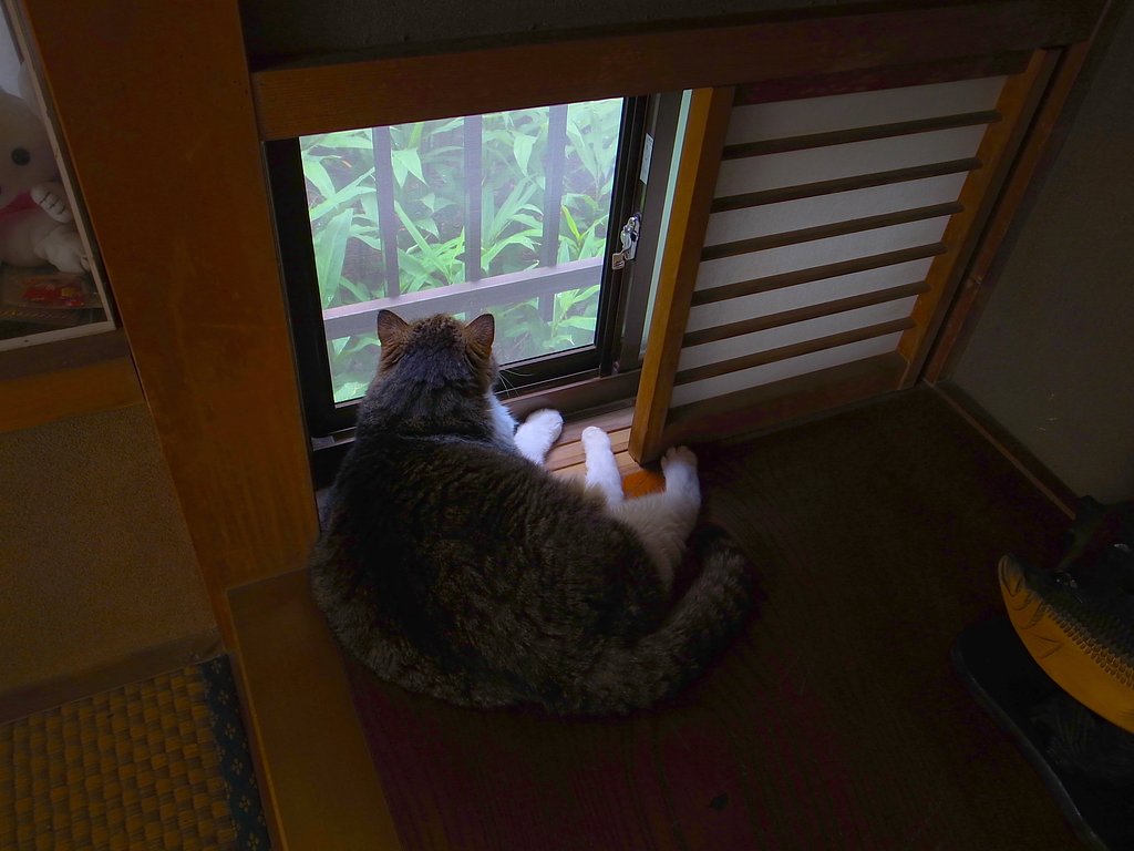 避暑地にて