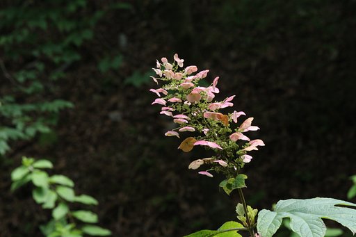 日に照らされて