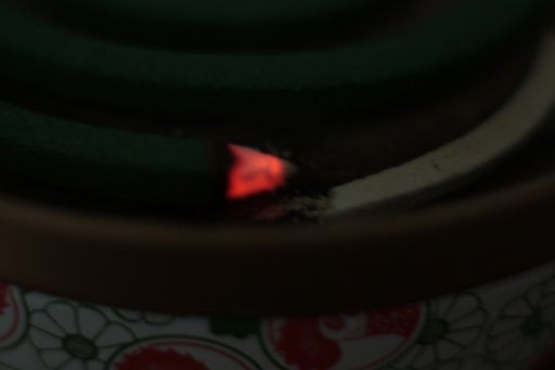 【燃】○鳥
