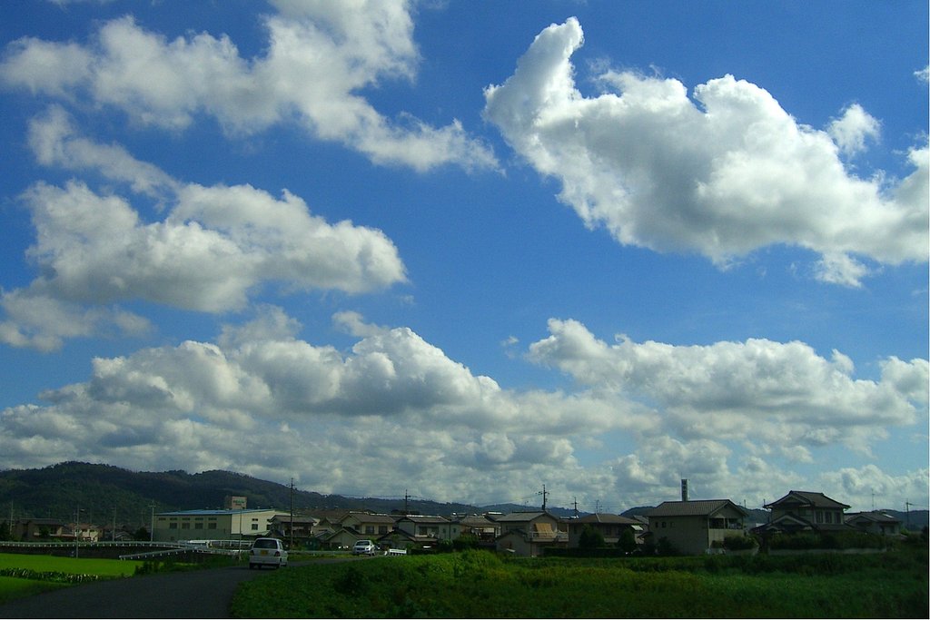 背泳ぎ
