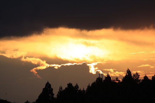夕立の後
