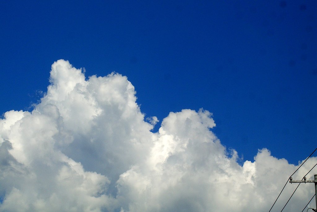 夏空