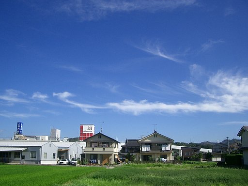 秋めく