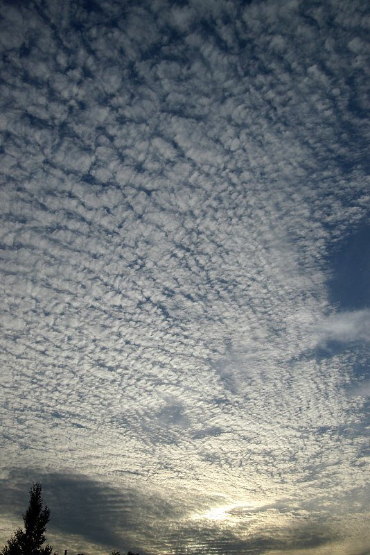 うろこ雲の夕暮れ
