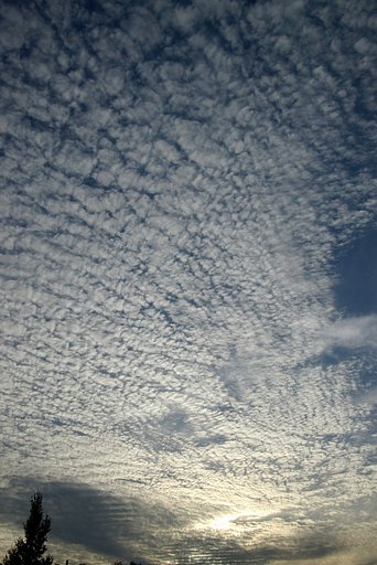 うろこ雲の夕暮れ