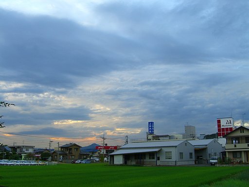 ぼつぼつ４号さん
