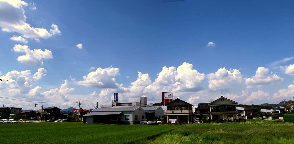 秋は遠い