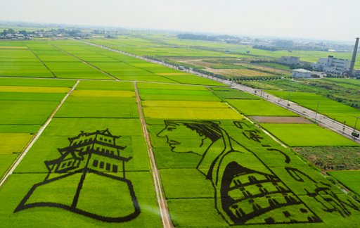 田んぼアート