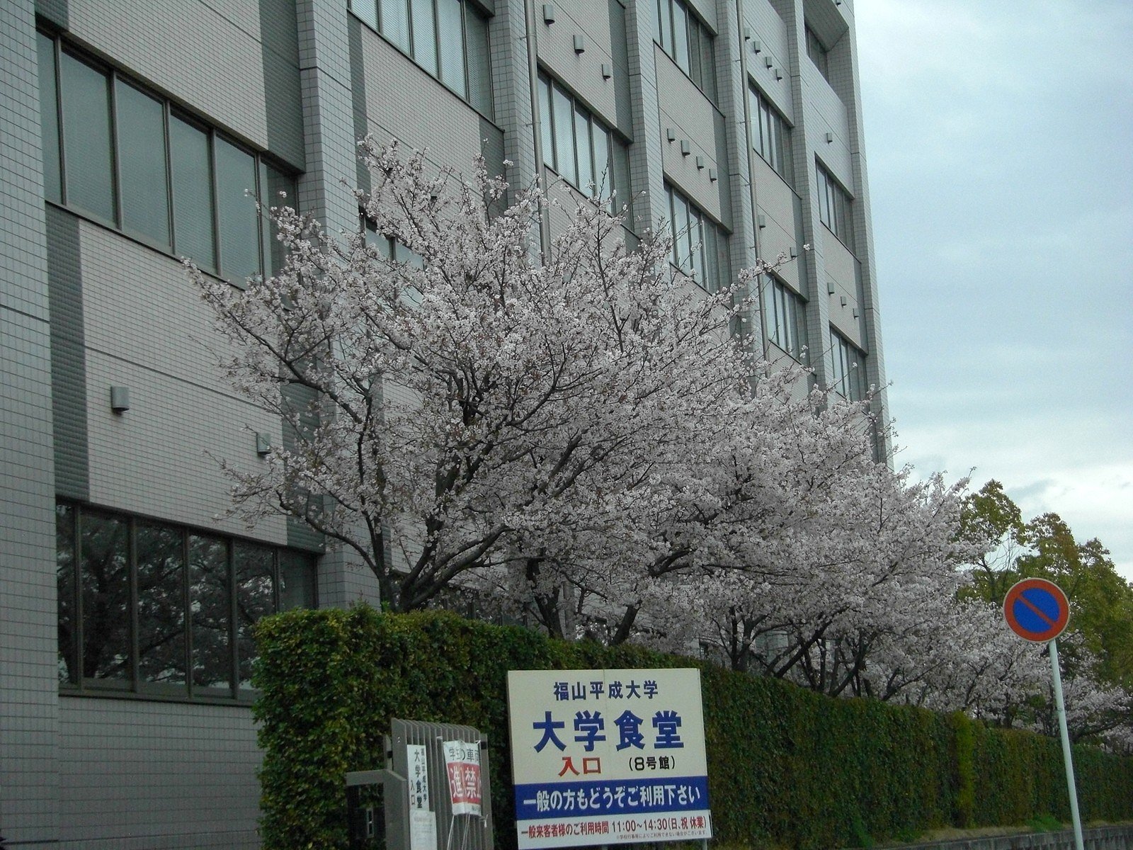 【花のある情景】気になる