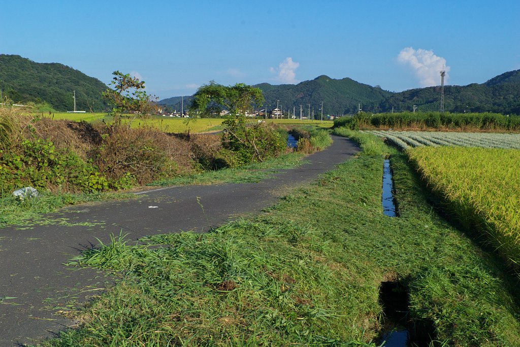 田舎も少し秋らしく!