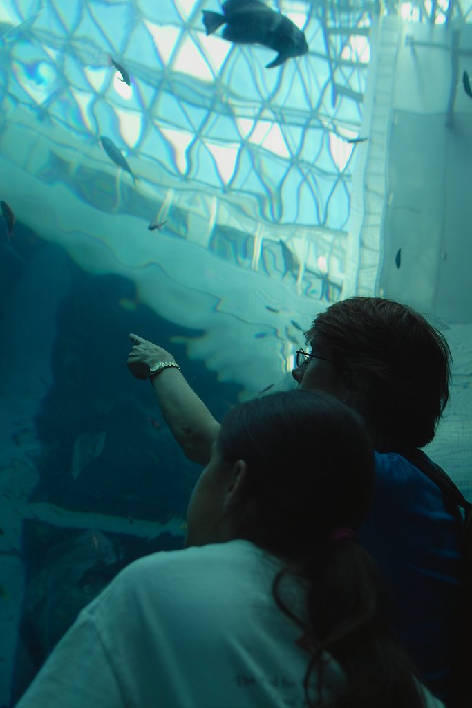 水族館で