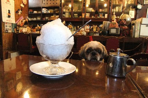 氷小豆だよ〜！